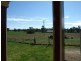 37 Kentucky Lane, Alectown NSW 2870