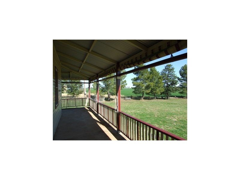 37 Kentucky Lane, Alectown NSW 2870