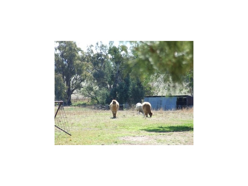 37 Kentucky Lane, Alectown NSW 2870