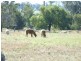 37 Kentucky Lane, Alectown NSW 2870