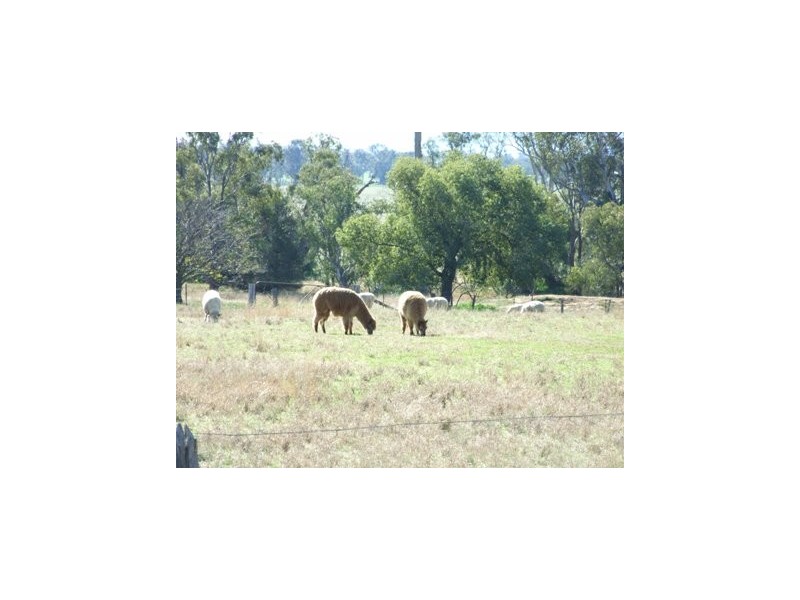 37 Kentucky Lane, Alectown NSW 2870