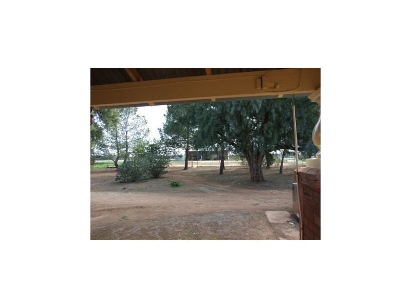 1 Watts Lane, Tichborne NSW 2870