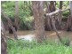 1 Watts Lane, Tichborne NSW 2870