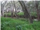 1 Watts Lane, Tichborne NSW 2870