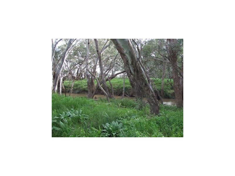 1 Watts Lane, Tichborne NSW 2870