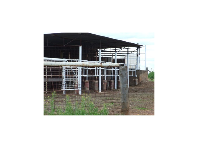 1 Watts Lane, Tichborne NSW 2870