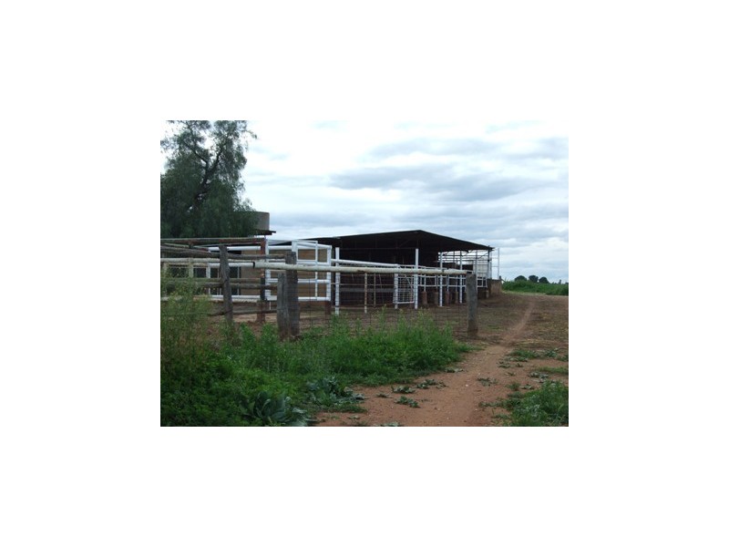 1 Watts Lane, Tichborne NSW 2870