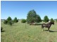 11 Ballerdee Lane, Parkes NSW 2870