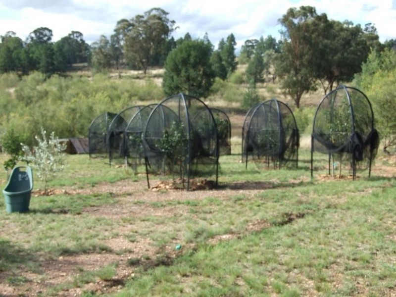 107 Shallow Lead Road, Parkes NSW 2870