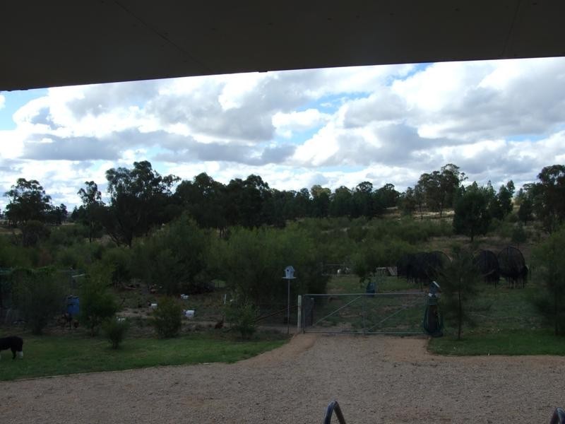 107 Shallow Lead Road, Parkes NSW 2870