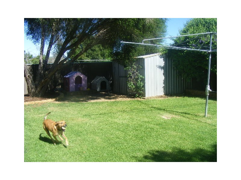 11A Barton Street, Parkes NSW 2870