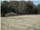 Lot 243,  Nash, Parkes NSW 2870