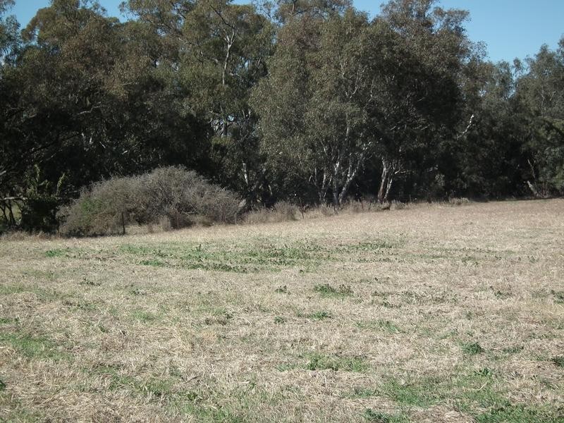 Lot 243,  Nash, Parkes NSW 2870