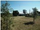 41-45 Goobang Street, Alectown NSW 2870