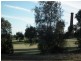 89 High Street, Parkes NSW 2870