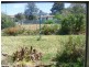 30 Coleman Road, Parkes NSW 2870
