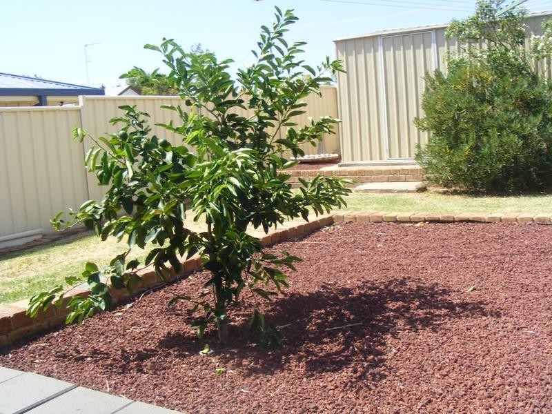18 Basil Ave, Parkes NSW 2870