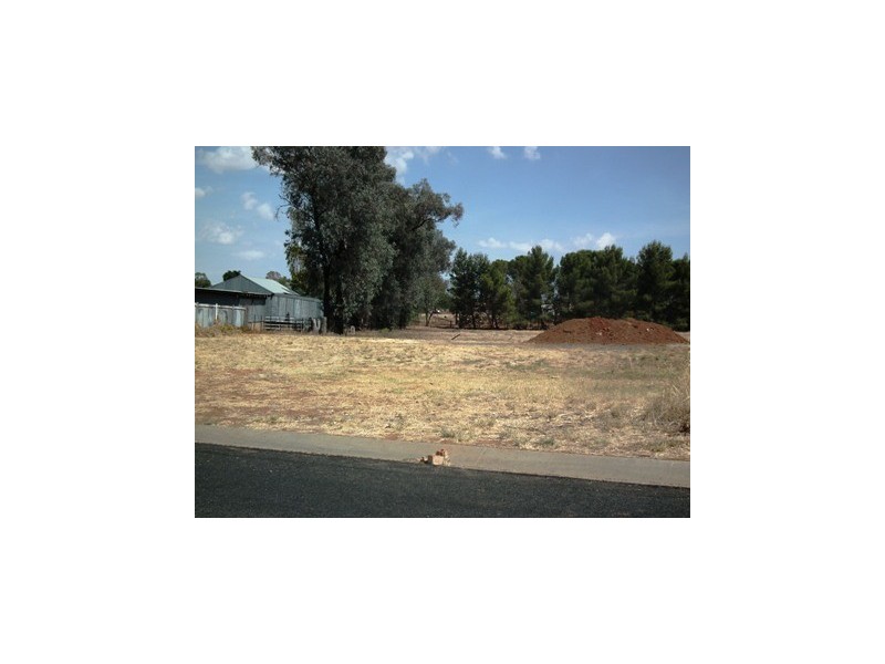 12 Basil Ave, Parkes NSW 2870