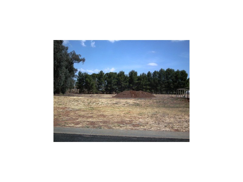 12 Basil Ave, Parkes NSW 2870