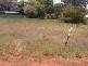 Lots 1-6 Warragrah Place, Parkes NSW 2870