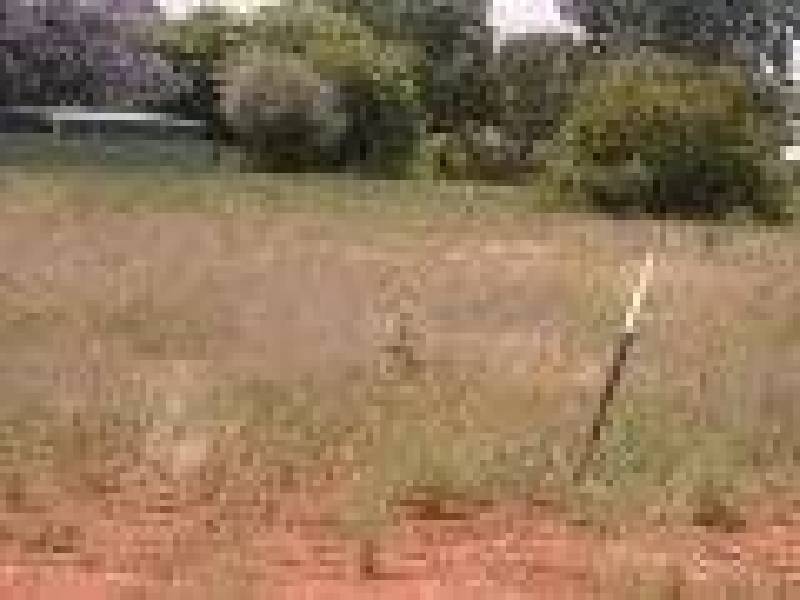 Lots 1-6 Warragrah Place, Parkes NSW 2870