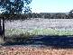 Lot 1 Back Yamma Road, Parkes NSW 2870