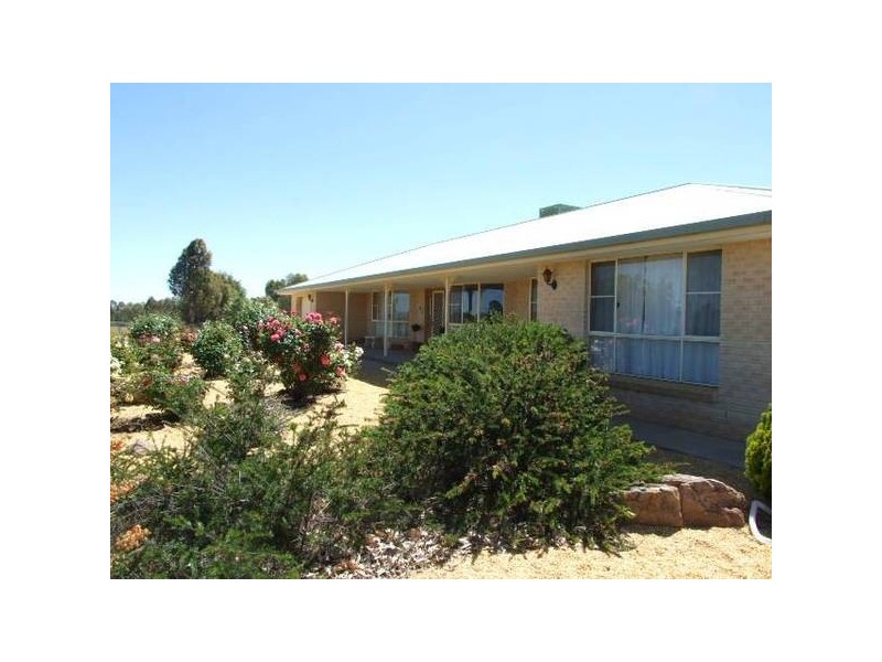 1 Alectown West Road, Alectown NSW 2870