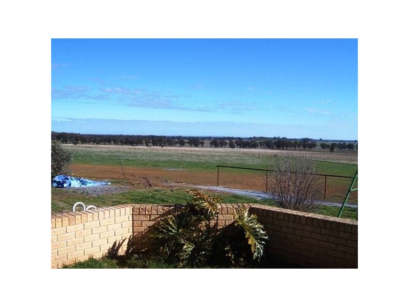 1 Alectown West Road, Alectown NSW 2870