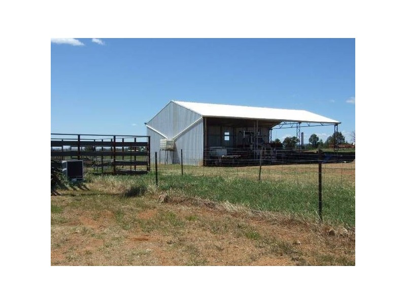 1 Alectown West Road, Alectown NSW 2870