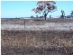 Lot 144 Gunningbland Road, Gunningbland NSW 2876