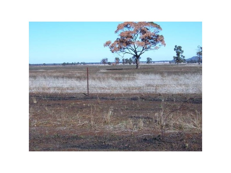 Lot 144 Gunningbland Road, Gunningbland NSW 2876