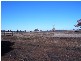 Lot 144 Gunningbland Road, Gunningbland NSW 2876