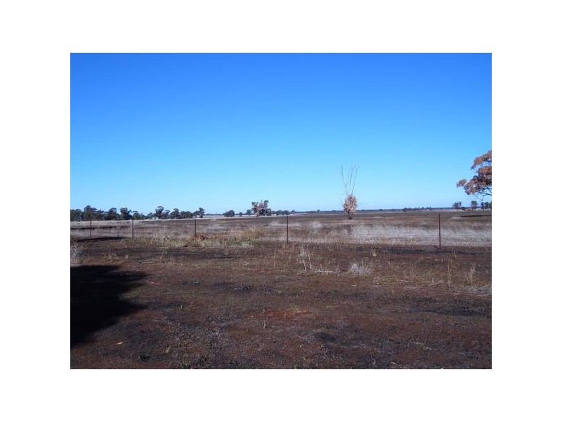 Lot 144 Gunningbland Road, Gunningbland NSW 2876