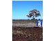 Lot 144 Gunningbland Road, Gunningbland NSW 2876