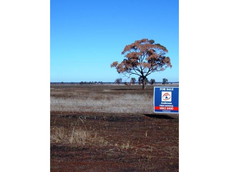 Lot 144 Gunningbland Road, Gunningbland NSW 2876