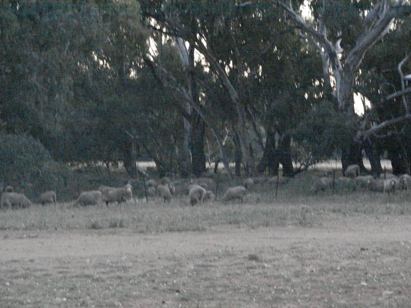 0 Newell Highway, Parkes NSW 2870