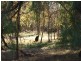 60 Warregal Road, Tichborne NSW 2870