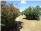 51 Woodward Street, Parkes NSW 2870