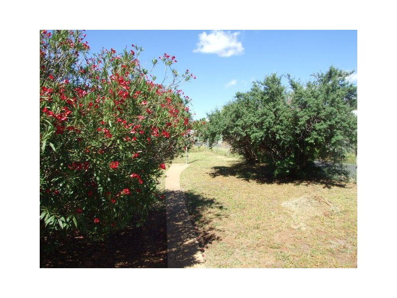 51 Woodward Street, Parkes NSW 2870