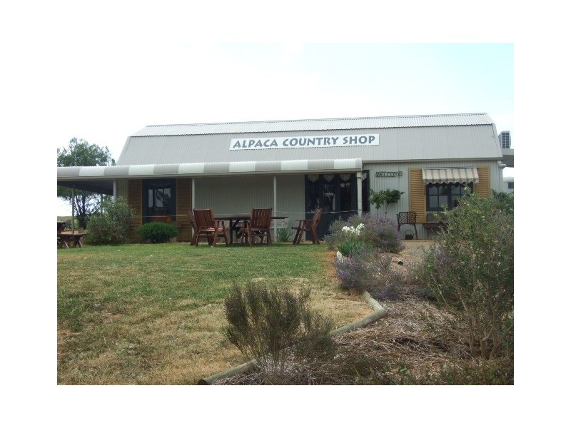 2322 Newell Highway, Parkes NSW 2870