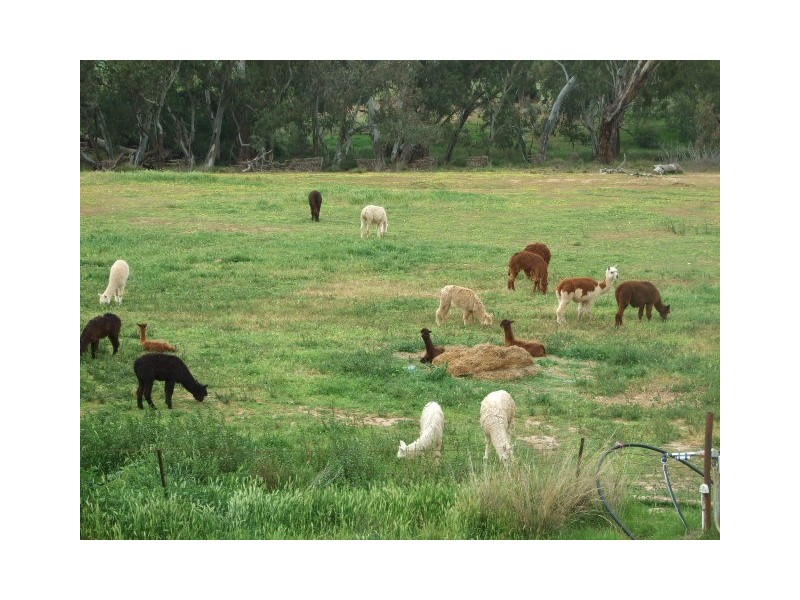 2322 Newell Highway, Parkes NSW 2870