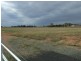 Lot 4,  No Mistake Lane Bk Trundle Rd, Parkes NSW 2870