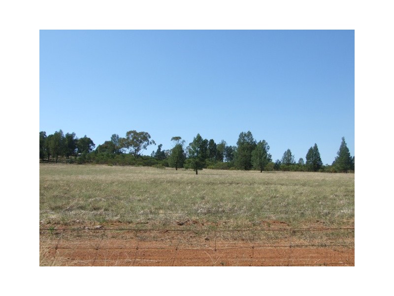 Lot 0,  Cons Lane, Parkes NSW 2870