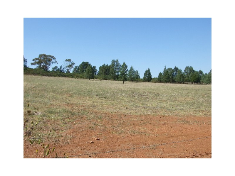 Lot 0,  Cons Lane, Parkes NSW 2870