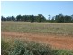 Lot 0,  Cons Lane, Parkes NSW 2870