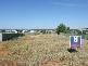 39 Blaxland Street, Parkes NSW 2870
