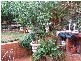 Mengarvie Road, Parkes NSW 2870
