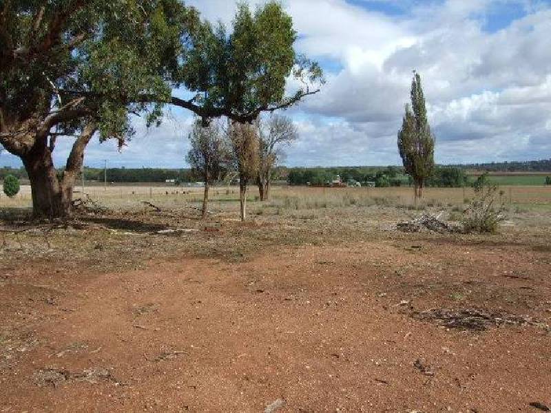 258 Cons Lane, Parkes NSW 2870