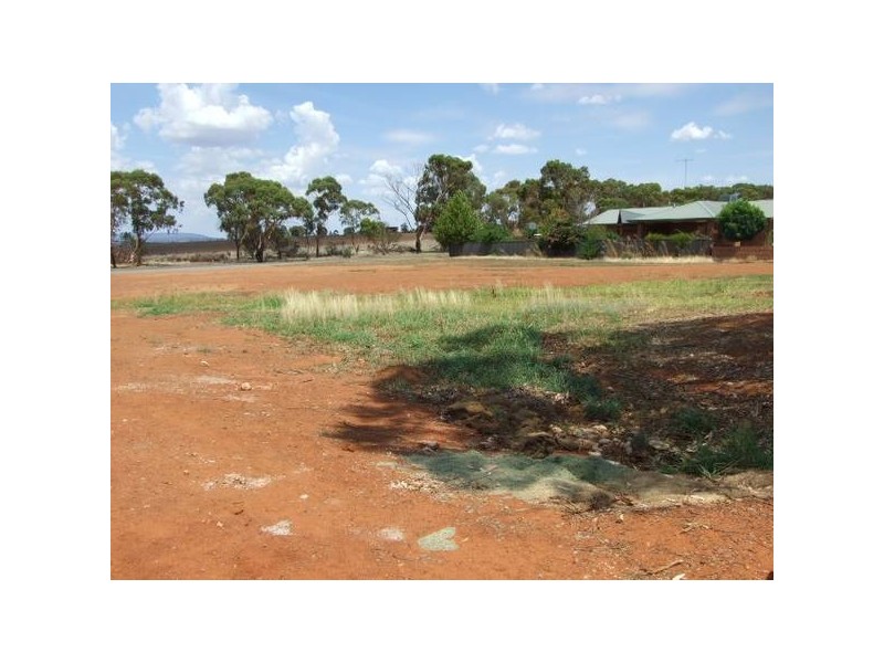 31 Noonan Street, Parkes NSW 2870