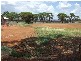 31 Noonan Street, Parkes NSW 2870